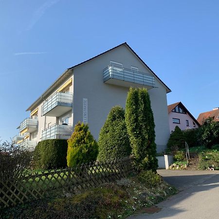 Micro-Apartment In Seenaehe Fusslaeufig Zum See:)) Ohningen Luaran gambar
